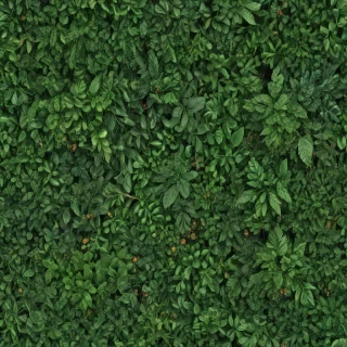 greenery png