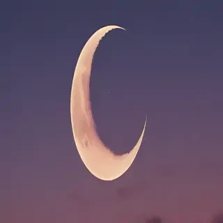 aesthetic crescent moon