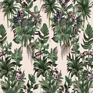 aesthetic plants png