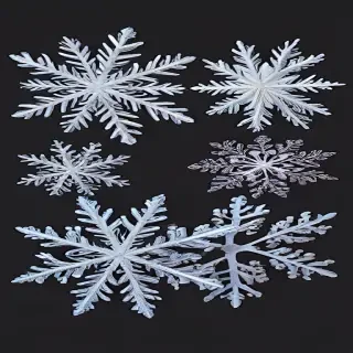 snowflakes png
