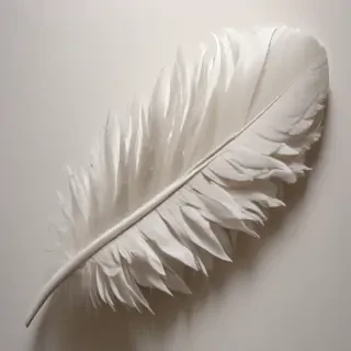 feather design