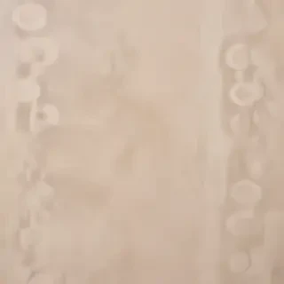 neutral background