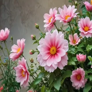 cute wallpaper flower