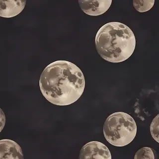 vintage moon