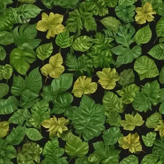 leaves png transparent