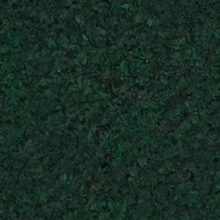 dark green colour wallpaper