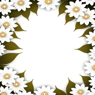 white flower bg