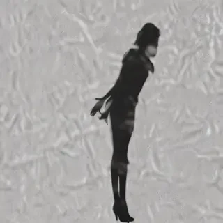 shadow transparent