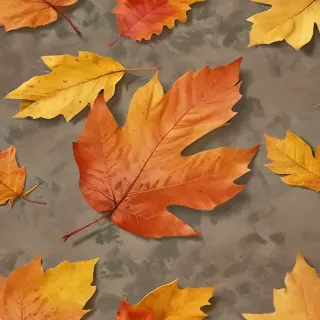 autumn leaf png
