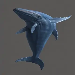 blue whale png
