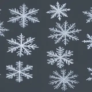 transparent snowflakes
