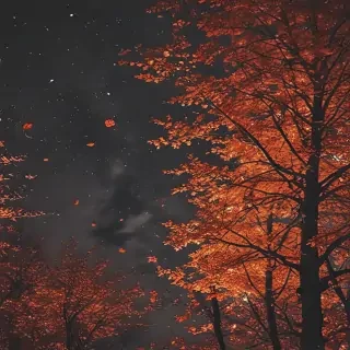 fall aesthetic wallpaper iphone