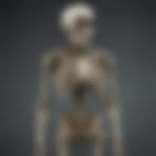 skeleton background