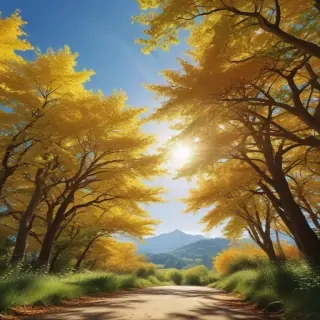 sunny day aesthetic