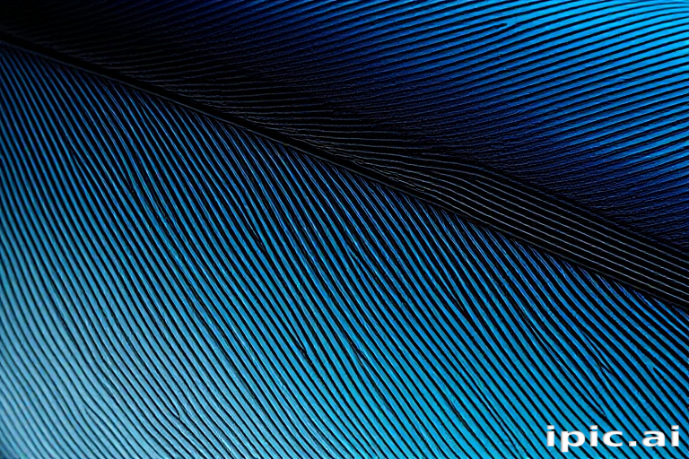 feather background