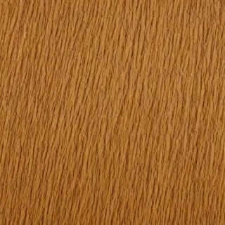 oak texture