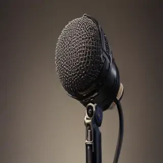 microphone .png