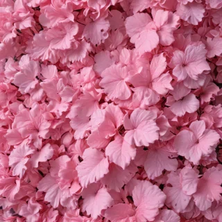 aesthetic wallpapers iphone pink