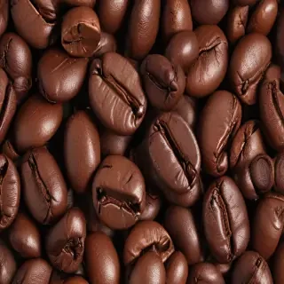 coffee bean png