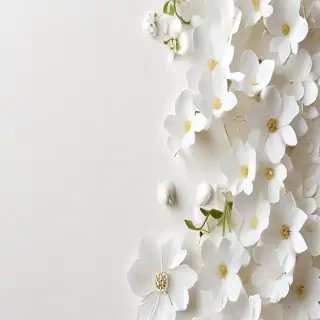 flower background white
