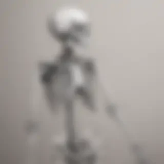 creative skeleton drawing art