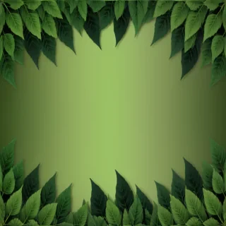 background green leaves