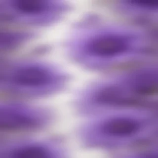 purple flowers drawing