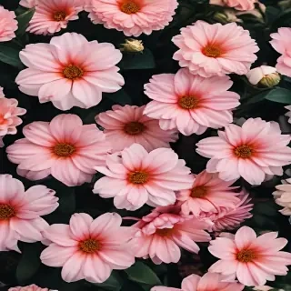 flower background iphone