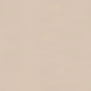neutral iphone wallpaper