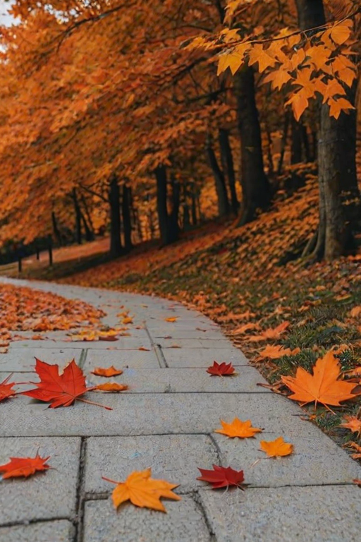 fall leaves aesthetic