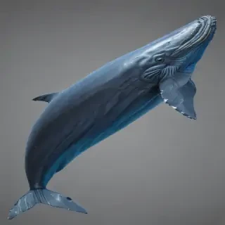 blue whale png