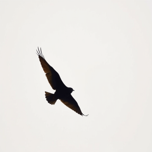 Generate a high-quality image of a black silhouette of a bird in flight, using a DSLR camera with a 50mm lens, f/2.8 aperture, ISO 100, 1/500s shutter speed, captured from a low angle against a bright sky background.