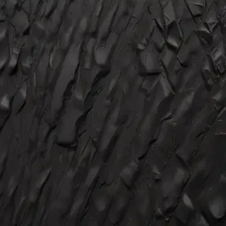 black rough