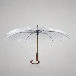 umbrella transparent background