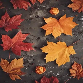 wallpaper autumn iphone