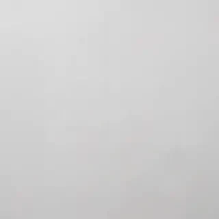 white grey background