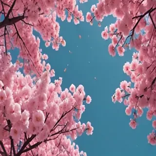 pretty aesthetic wallpapers