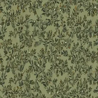 olive green aesthetic wallpaper