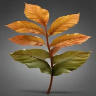 leaves png transparent