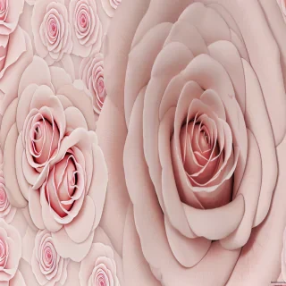 wallpaper rose wallpaper
