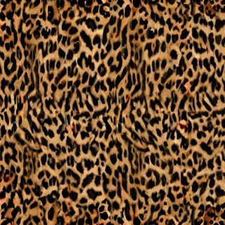 leopard print png