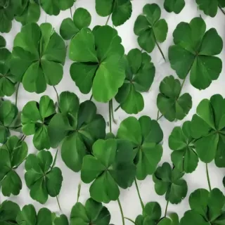 4 leaf clover png