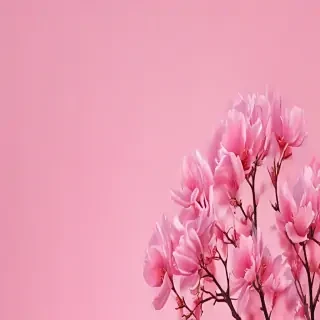 pink aesthetic wallpaper iphone