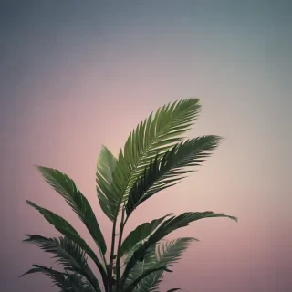minimal wallpaper iphone 4k