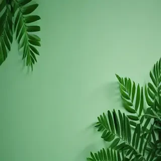 green aesthetic background