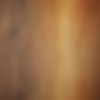 canvas texture overlay