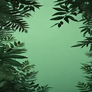 aesthetic background green