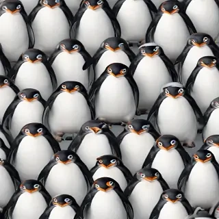 penguin backgrounds