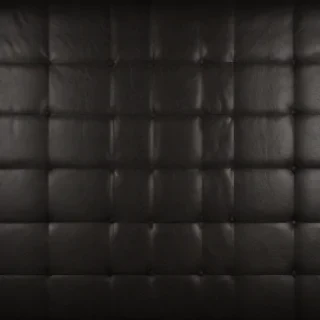 leather background