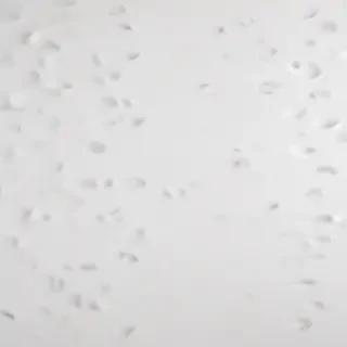 white background wallpaper